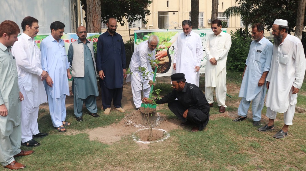 Vice Chancellor Prof. Dr. Johar Ali launched a plantation drive at the University of Peshawar, accompanied by the Pro Vice Chancellor and Deans. This initiative aims to promote environmental sustainability and beautify the campus